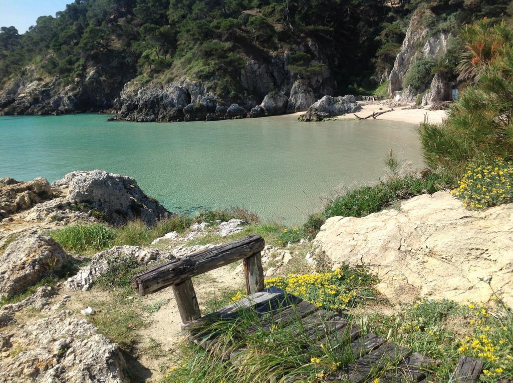 Cala Delle Arene *